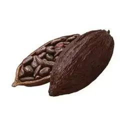 

Coffee Sheller Can Clean The Household Kitchen, And The Manual Coffee Sheller Can Be Used At Home