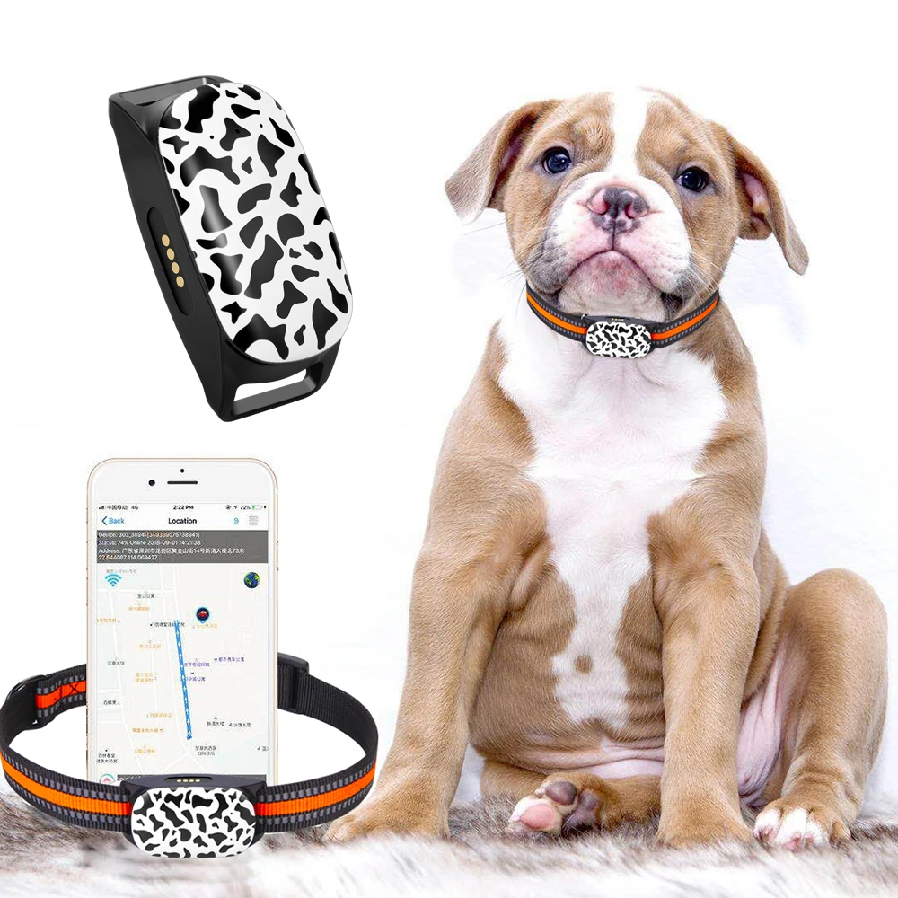 

Smallest Waterproof Mini 4G GPS tracker for Pet Dog Cat Animals, APP Web Real Time Activity Monitoring Pet GPS Tracking Device