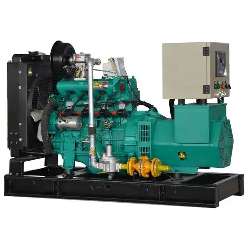 30kw 50kw الطبيعية لمجموعة مولدات احتياطية للكهرباء التوربينات الكهربائية مع