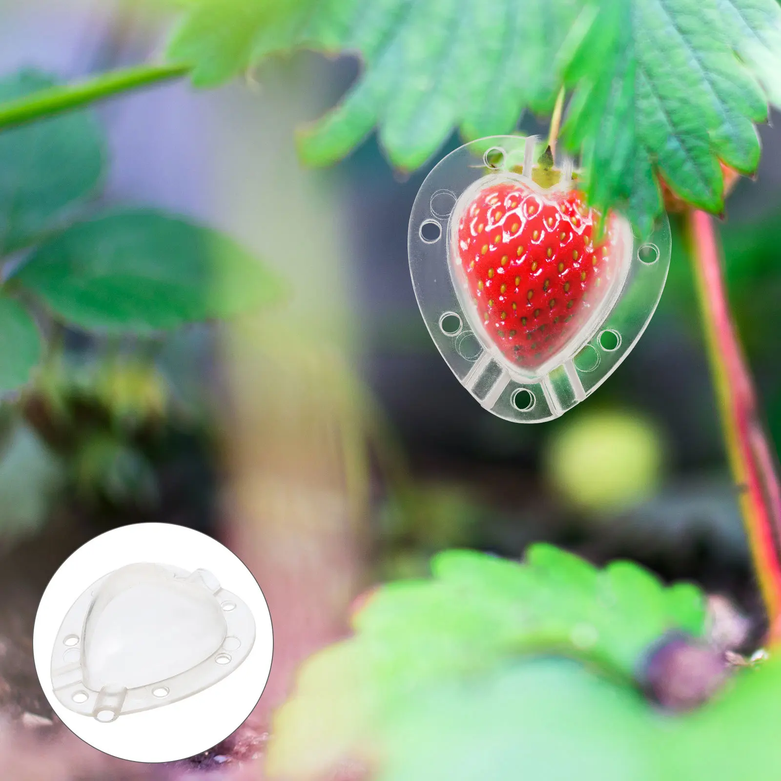 

4Pcs Transparent Fruit Mold Heart Shaped Growing Mold for Garden Vegetables Shaping Tool Portable Lightweight Melon and