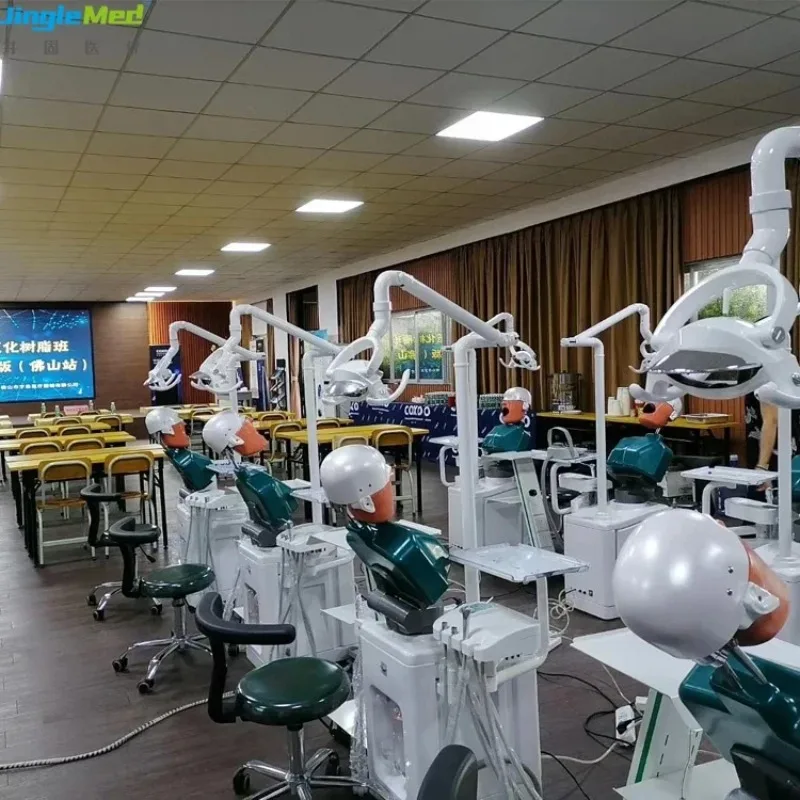 

New Design Denta Model Medical Denta Simulator Teaching Equipment