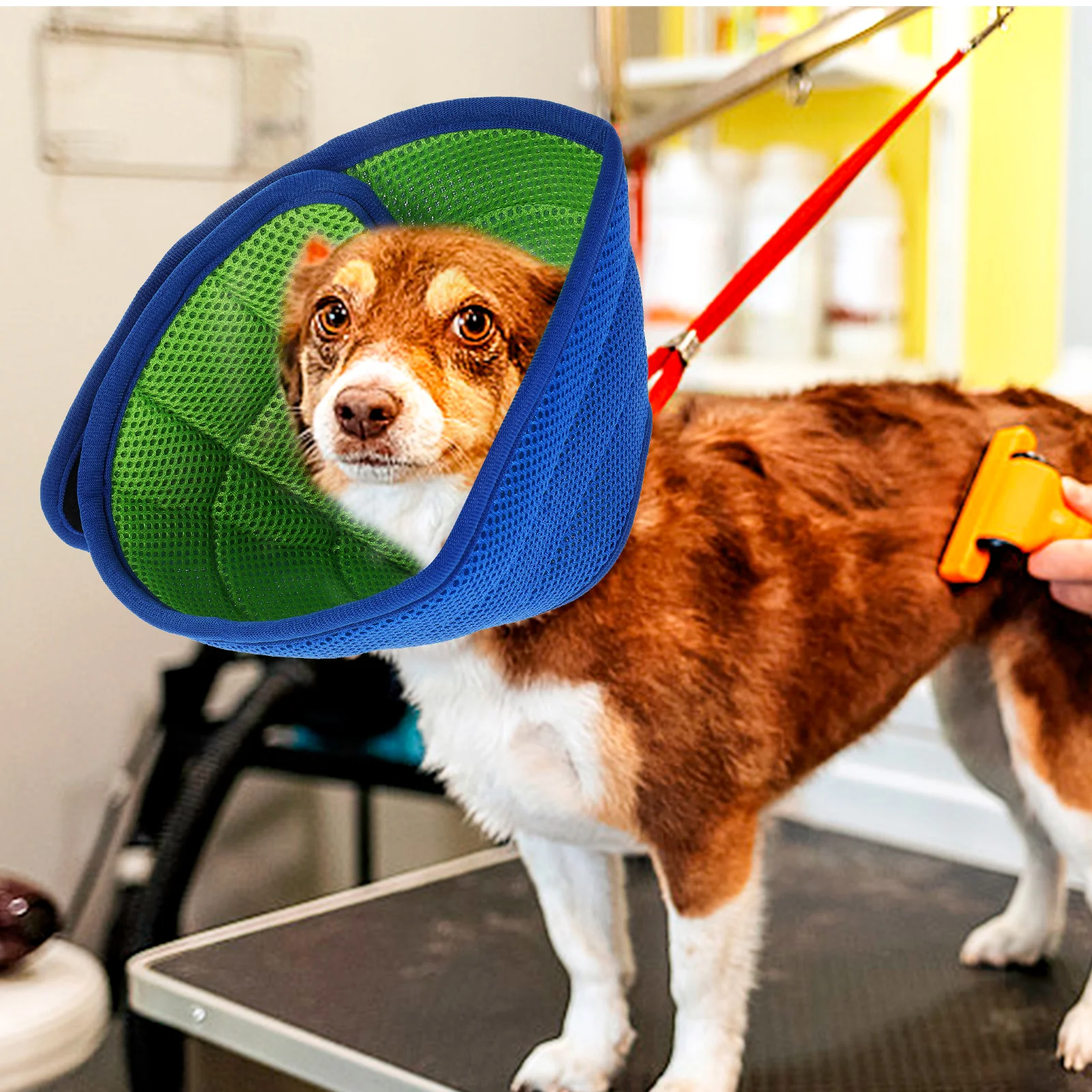 

Pet Recovery Soft Comfortable Dog Cone Collar For Cats Dogs Post-Surgery Healing Protection Pet Protective Collar