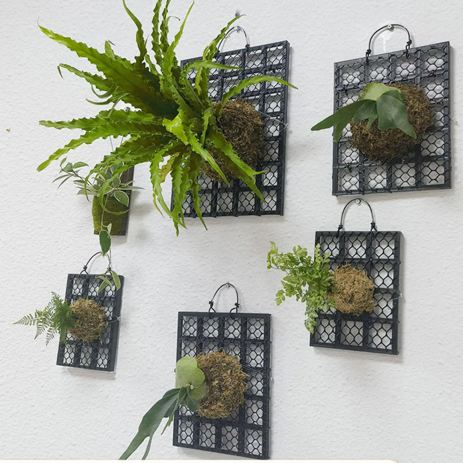 Garden Wall Mount Panel PP Fern Bed Board Plant Display Mounting Board Small Space Foliage Solution