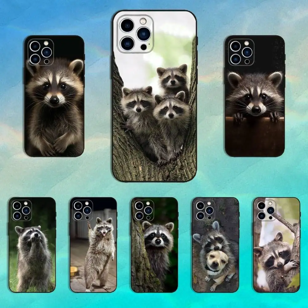 

Cute Animal Raccoon Phone Case For iPhone 16,15,14,13,12,11 Plus,Pro Max,XS,X,XR,SE,Mini,8,7,Soft Silicone Black Cover