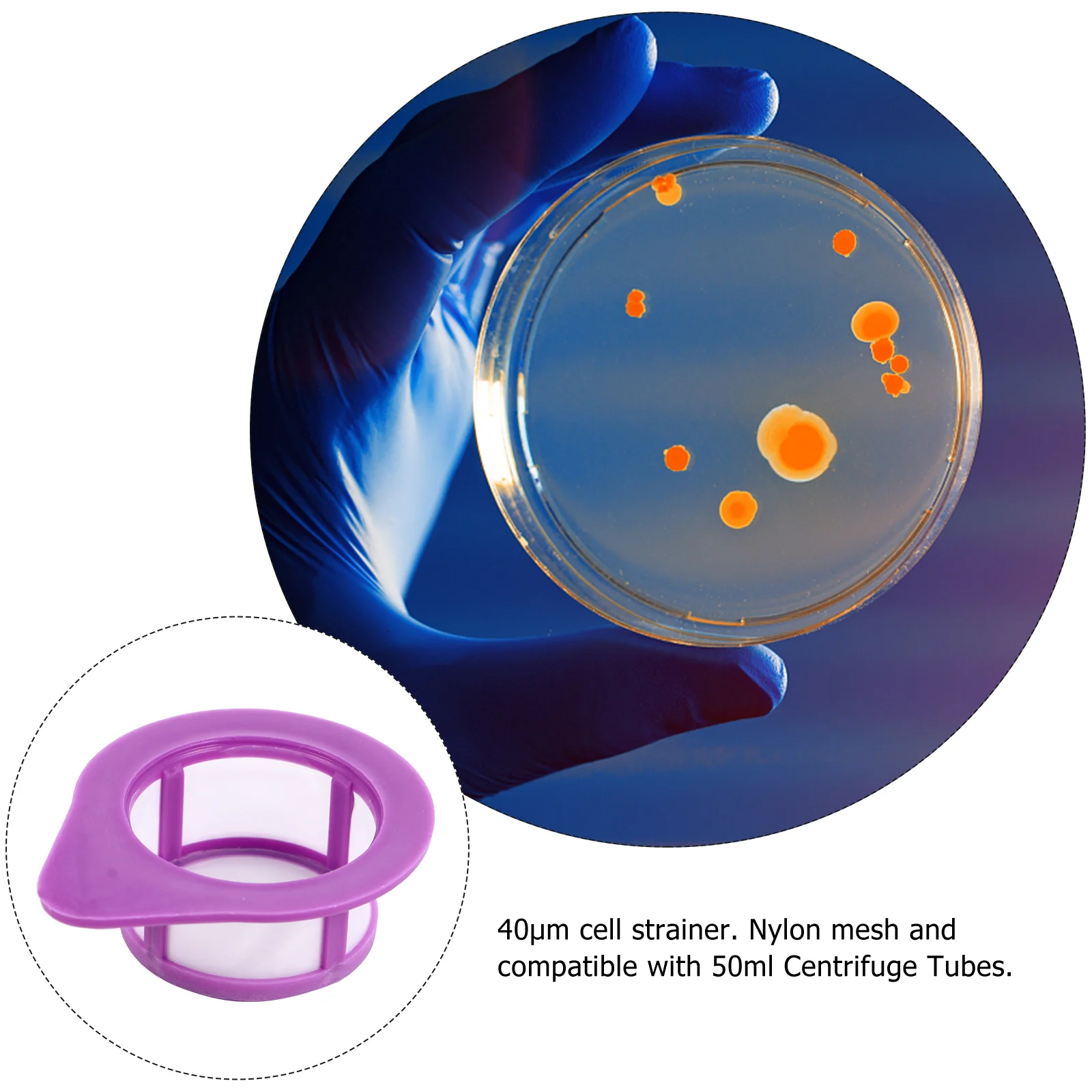Filter 40μm Laborteile Nylon Mesh Experiment Tool Sieb Lila Zubehör