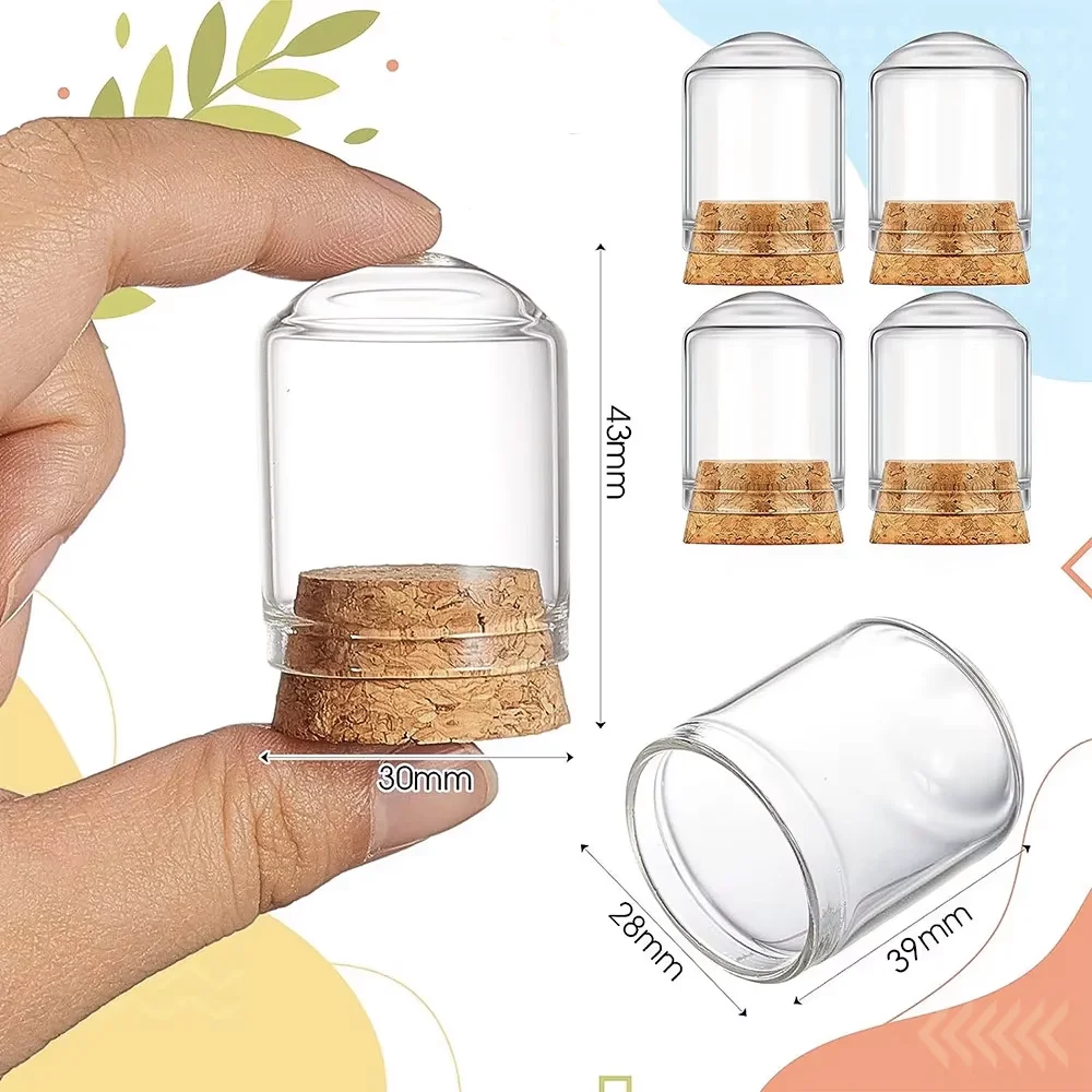 Glass cloche Jar, Display Dome Base Mini Glass Bottles/Jars Display Case for Flower Storage Home Party Favor Decoration