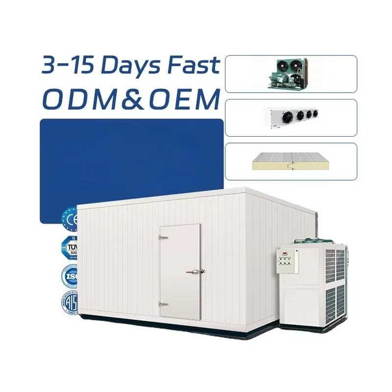 Customized Cold Store Machine for Vegetable Storage Compressor Pump Soundproof Panel Stainless Steel Made
