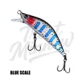 Blue Scale