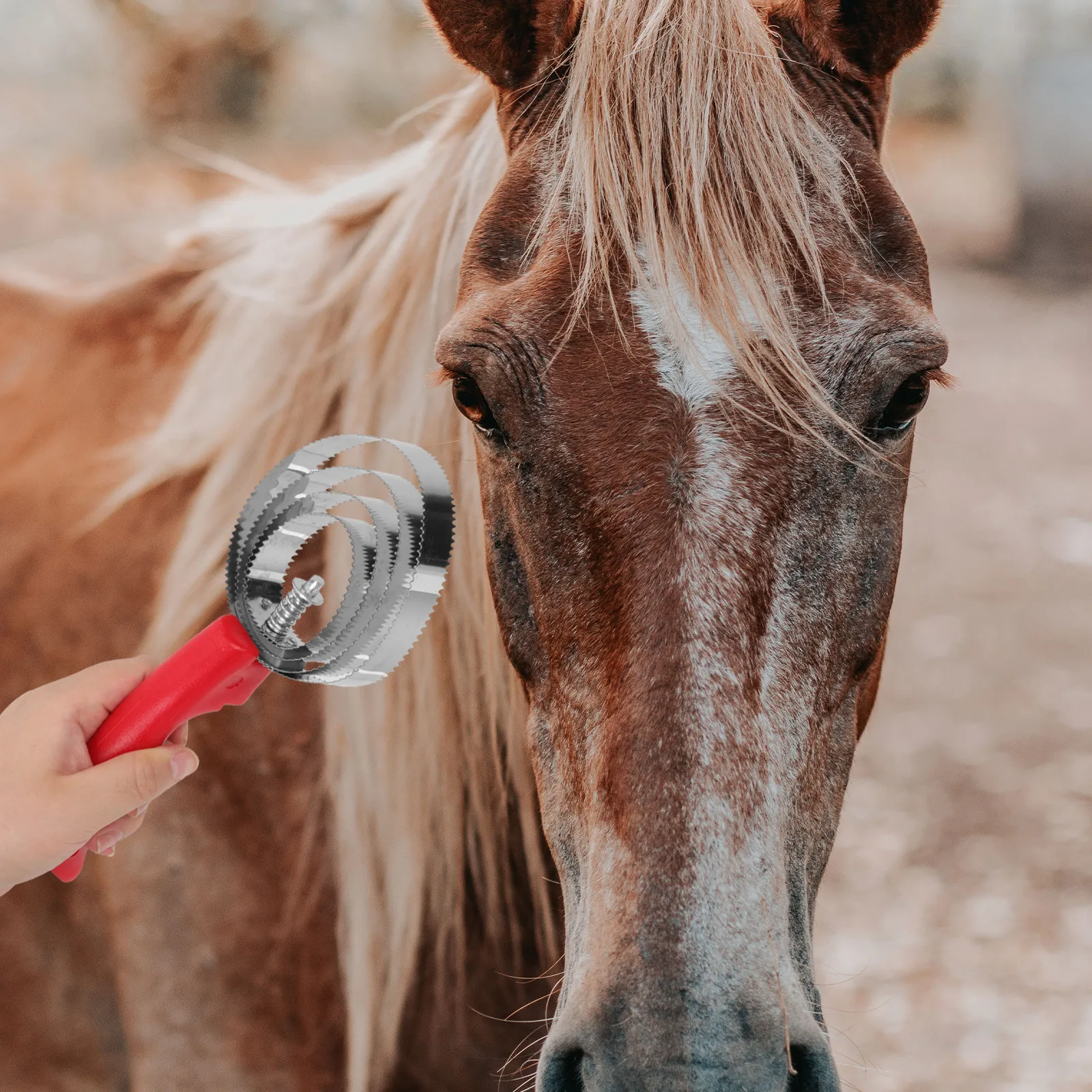 2Pcs Horsehair Brush Animal Hair Removal Brush Stainless Steel Heavy Duty Grooming Scraper Easy Mud Shedding Control