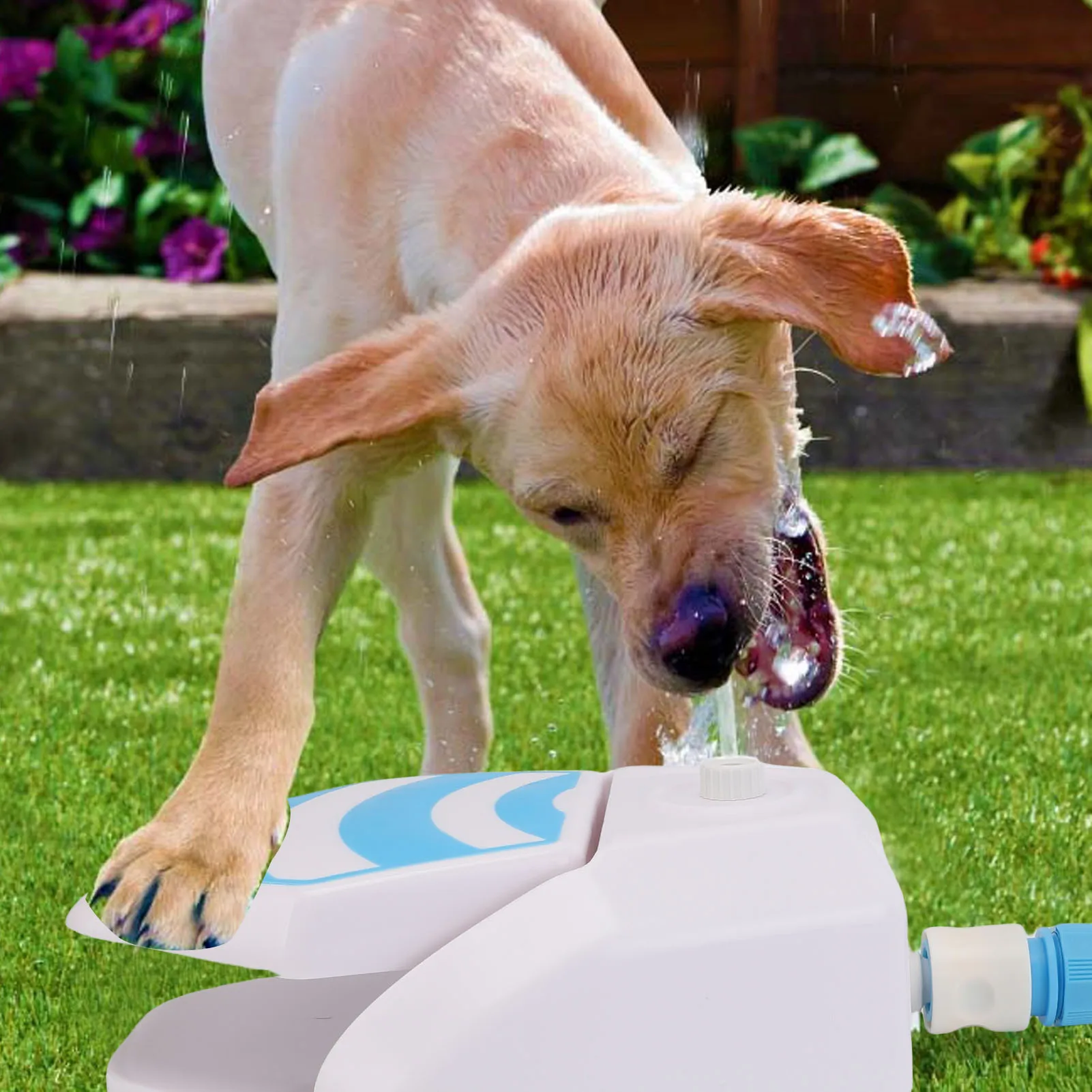 Fonte de água com pedal para cães, fonte de água com passo para cães, grande capacidade, água potável ativada para atividades ao ar livre