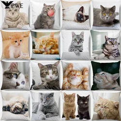 Lovely Pet Cat Pillow Cases Sleeping Bubble Black Cats Animal Cushion Cover Sofa Living Room Home Decorative Custom Pillowslip