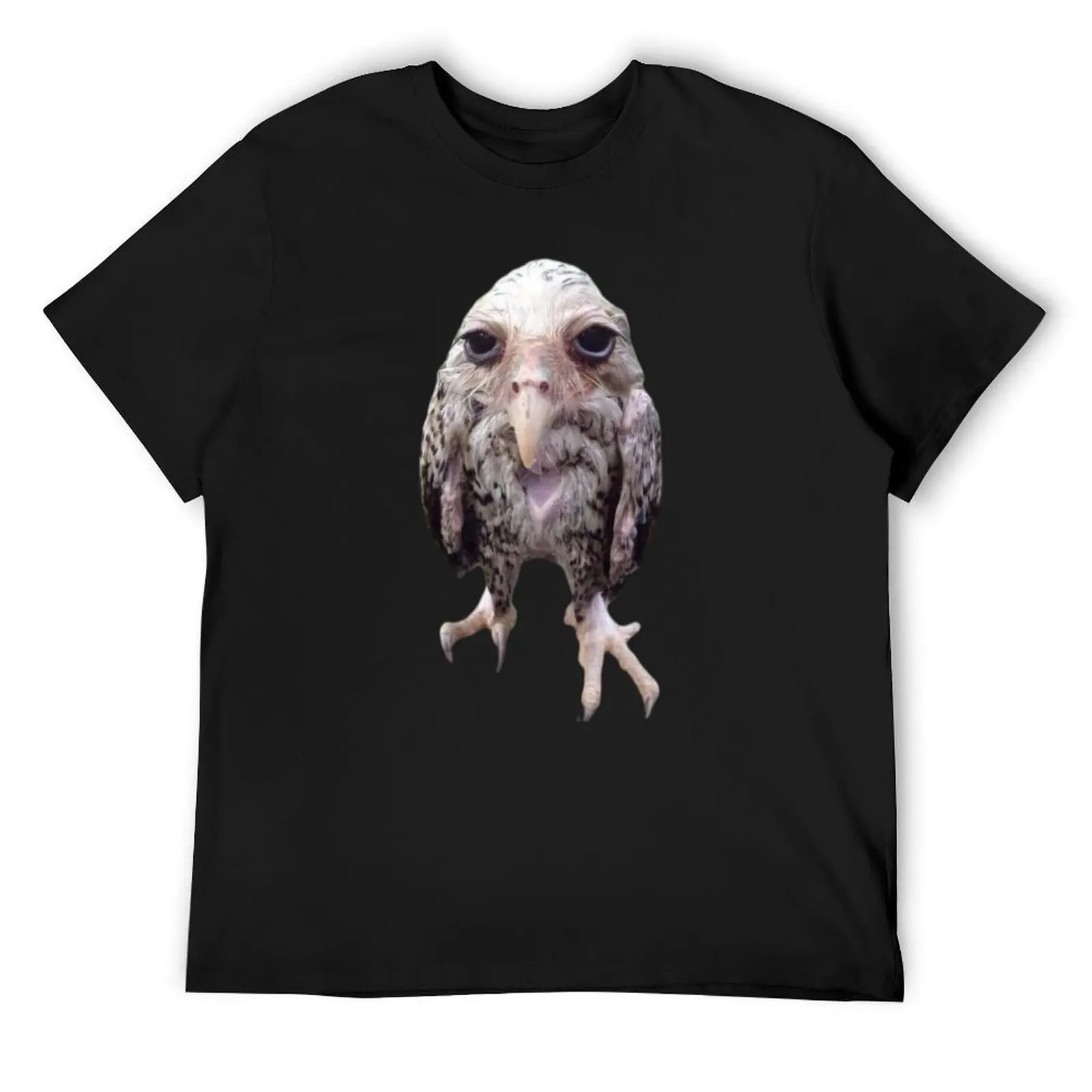 Wet Owl Funny Meme T-Shirt customs design your own plus sizes vintage graphic tee anime mens cotton t shirts