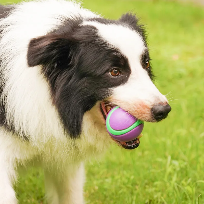 2 Stück leuchtende Hunde-Spielzeugball – langlebige Hundebälle aus Gummi zum Kauen, Aufbringen und Spielen, quietschende Hunde-Spielzeugbälle mit Sound, Haustierbälle