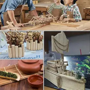 Kürek ağacının en iyi 10 satışı-dekoratif - №9