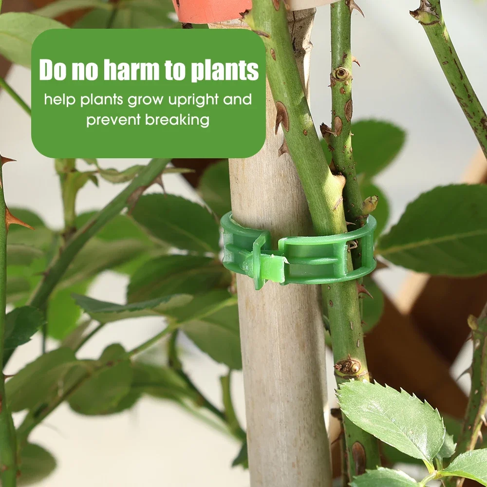 Plant Climbing Wall Clips Support Buckle Hook Rattan Clamp Grafting Fixing Stent Invisible Vine Fixed Bracket Tomato Garden Tool