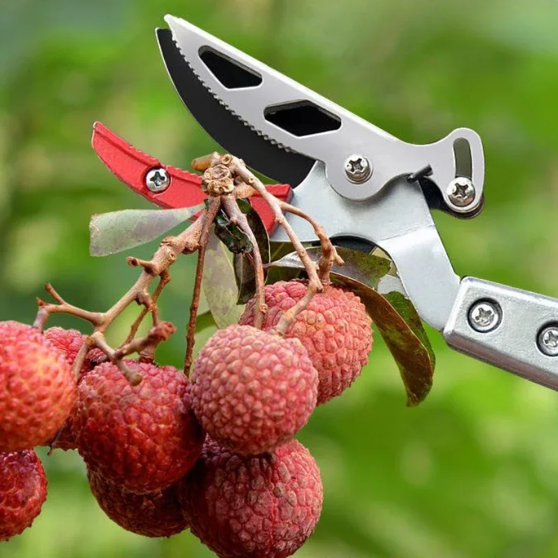 

Fruit Picker High-Altitude Cutting Branch Scissors Picking Bayberry Longans Litchi Telescopic Rod Trimming Fruit Tree Hand Tools