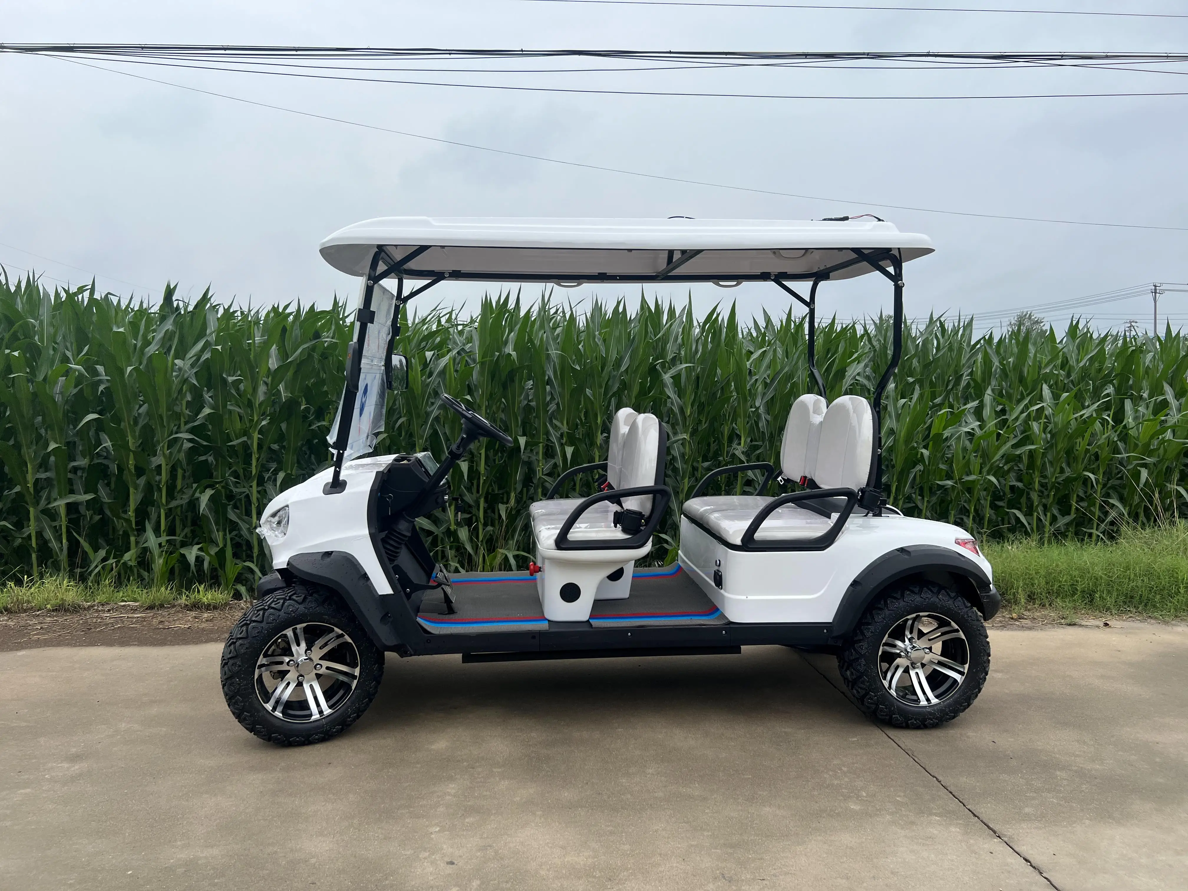 48v Electric Golf Cart Beach Resort 4 Seater Lithium Battery Golf Cart Off Road Buggy Garden Villa Electric Hunting Golf Cart