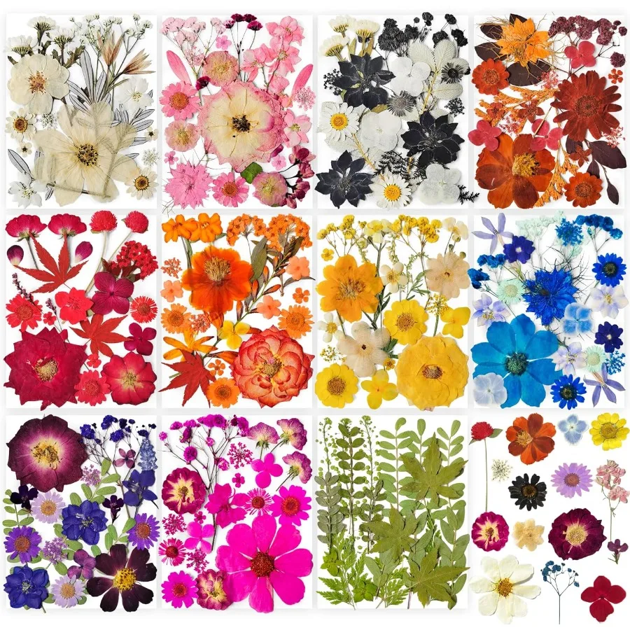 레진 공예용 건조 압화 320개 대량, 진짜 천연 압화와 두 장의 나비 스티커 포함, 이상적인 선택