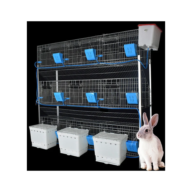 

Indoor Rabbit Farming Cage Commercial Breeding Farm