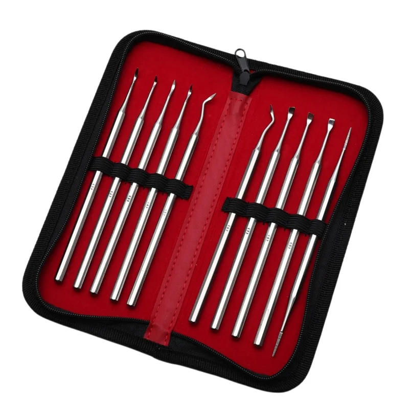 10pcs Dental Tartar Scaler Set Stainless Steel Tartar Removal Tool for Oral Care Teeth Cleaning Instrument Dentistry Supplies