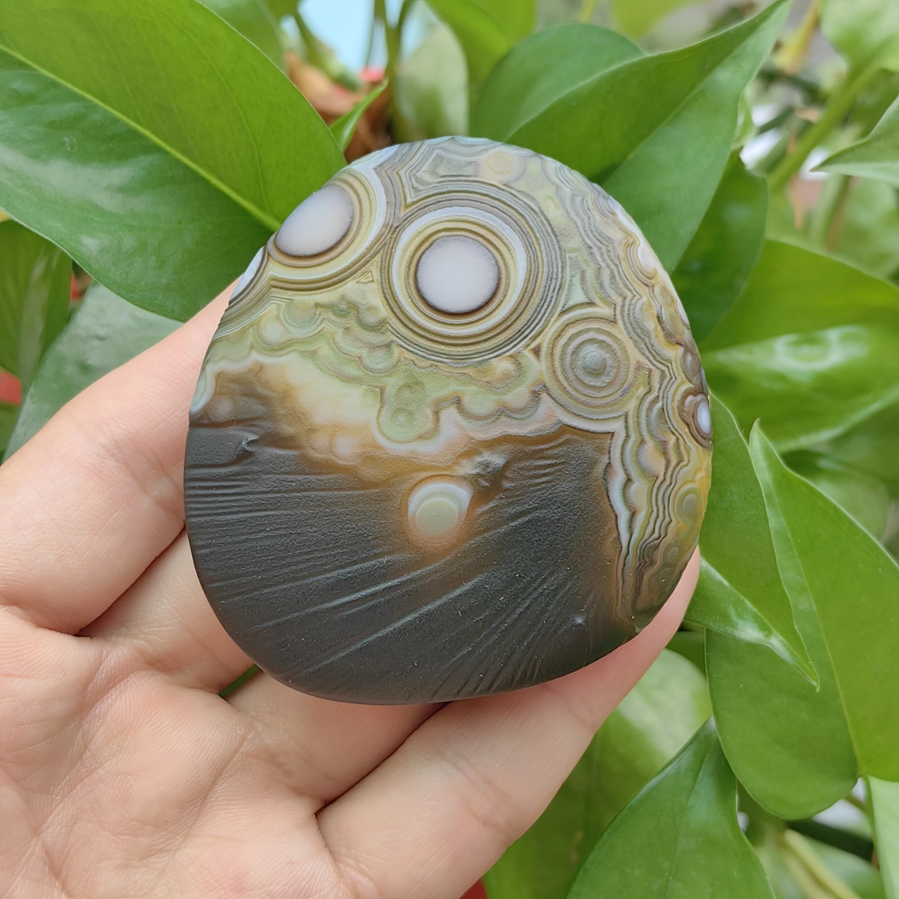 Rare Green & Black Gobi Agate with Striking White Eye Patterns Collectible Geological Specimen for Meditation Space - view 5