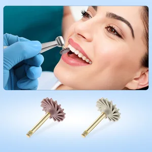 10 Hauptharzpolier -Disco - №10