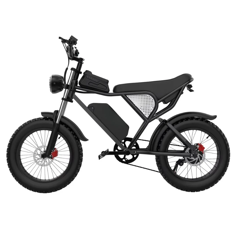 

1000w Q20 High Performance Electric Bicycle with Fat Tire Ridstar Hydraulic Disc Brakes Full Suspension