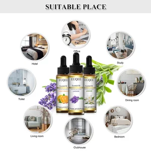 Euqee 10ml Natural Plant Essential Oil with Diffuser Accounting Humidifier Jasmine Lavender Eucalyptus Vanilla Oils Essential 11 Main Sales Essential Oil - №5