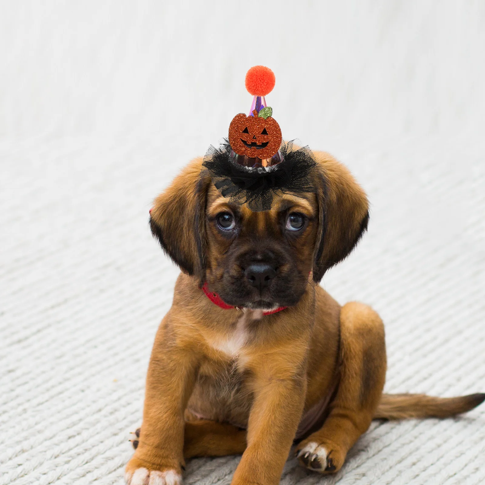 

2 Pcs Pumpkin Bat Hat Adjustable Pet Halloween Head Decor Birthday Hats Cap for Puppy Polyester Dress