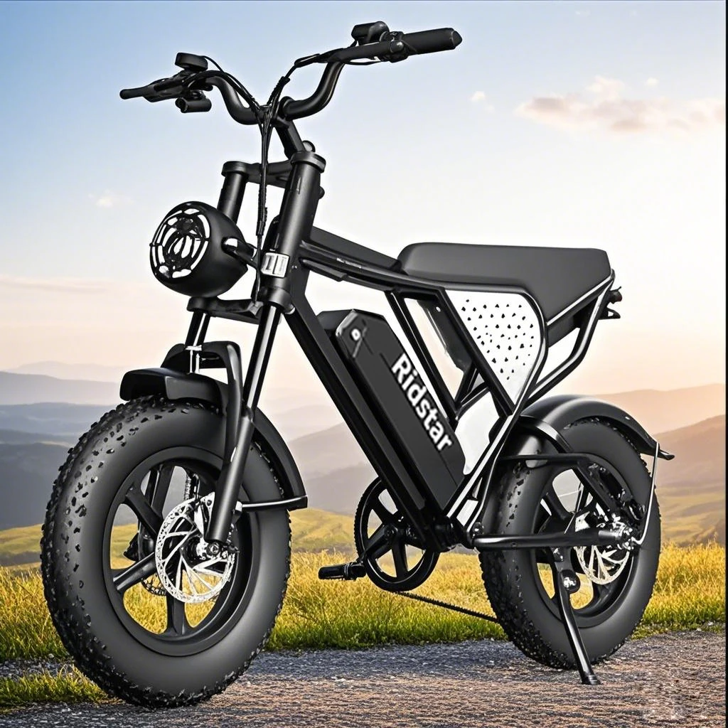 

Электрический горный велосипед Custom Design 48V 20AH 16 дюймов Fat Boy с дросселем для мальчиков 10-14 лет