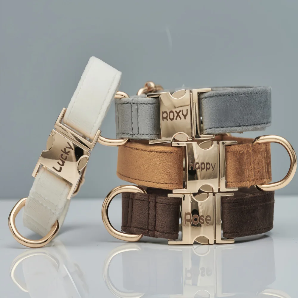 Customized Velvet Dog Collar & Leash Set with Engravable Metal Buckle - Personalized Pet Collar Comfortable Pet Accessories