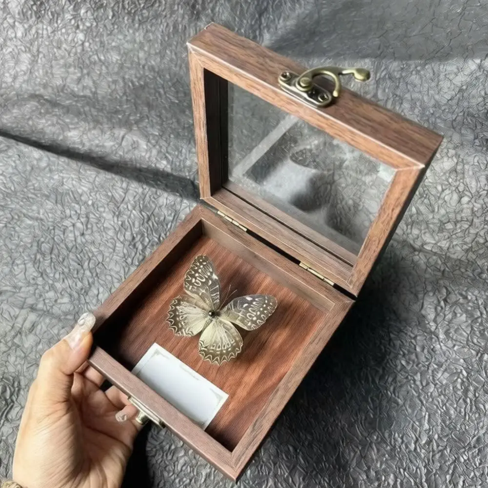 Modern 3D Shadow Box Frame Real Butterfly Specimen Unique Insect Taxidermy Decorative Gift For Living Room Office Art