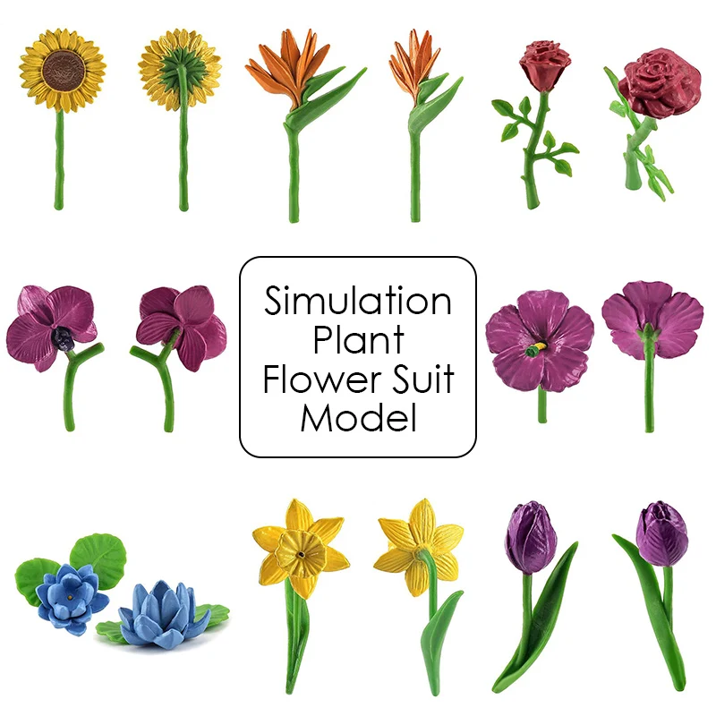 

8pcs/set Simulation Plant Model Artificial Flower PVC Realistic Kids Toys Gift Kindergarten Decor Supplies Education Material