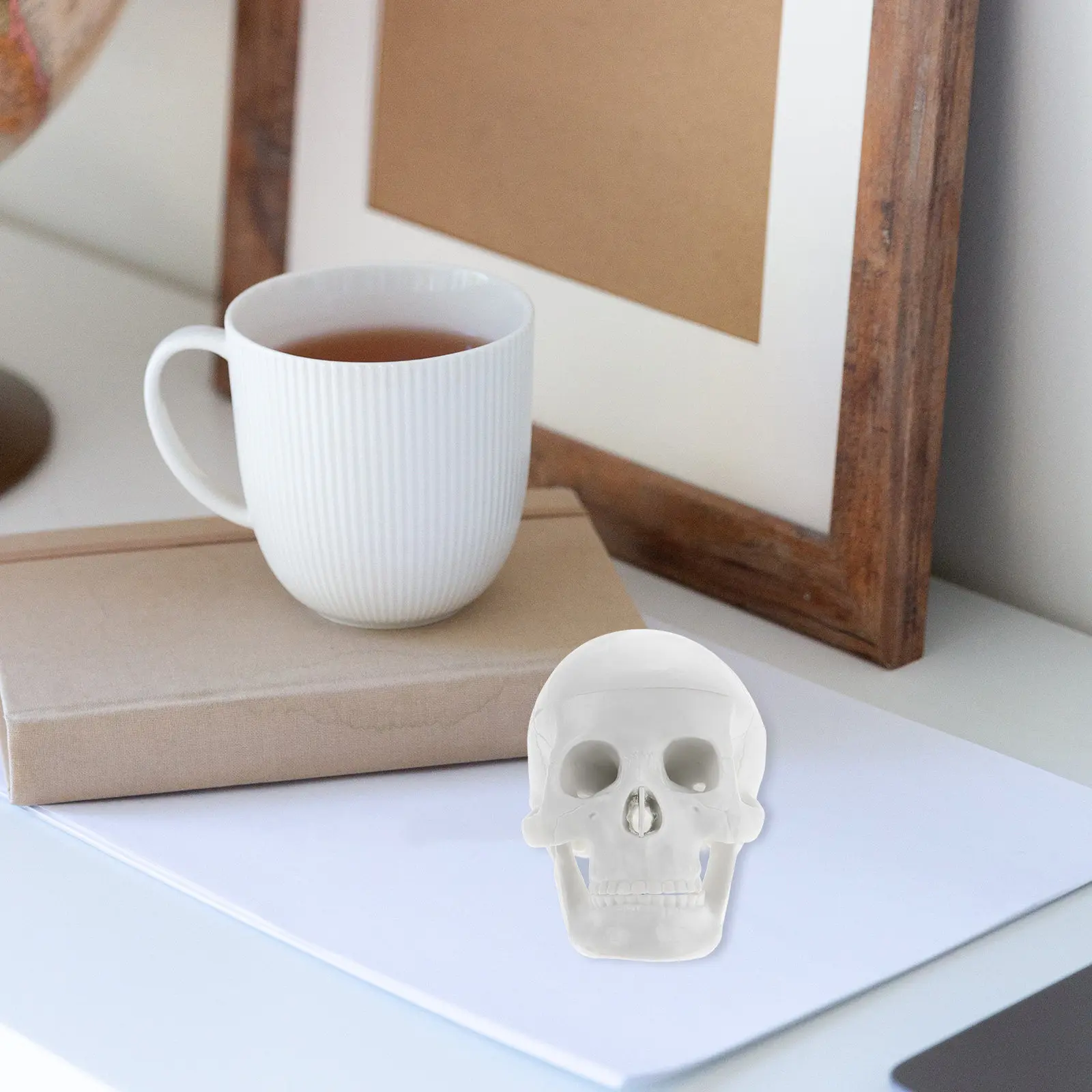 Mini Human Skull Anatomical Detailed Teaching Tool for Artists Halloween Party Skull Display Decoration Anatomy