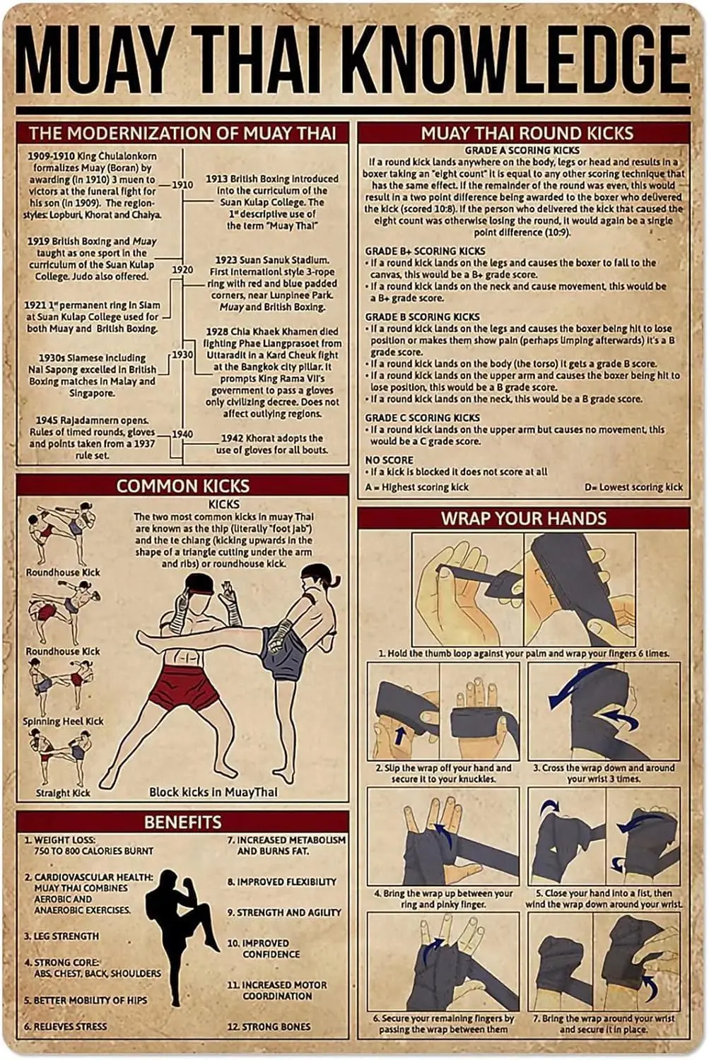 ESETASOT Plaque Métallique de Connaissance du Kung Fu, Affiche Infographique d'Anatomie du Muay Thai, pour Salle d'Arts Martiaux, Club, Maison, Chambre, École, Éducation