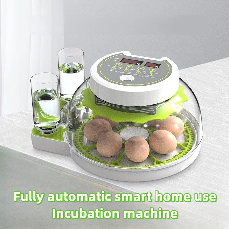 

Fully Automatic Intelligent Incubator Household Small Pigeon Parrot Bird Egg Special Saucer Incubator Box Constant Temperature