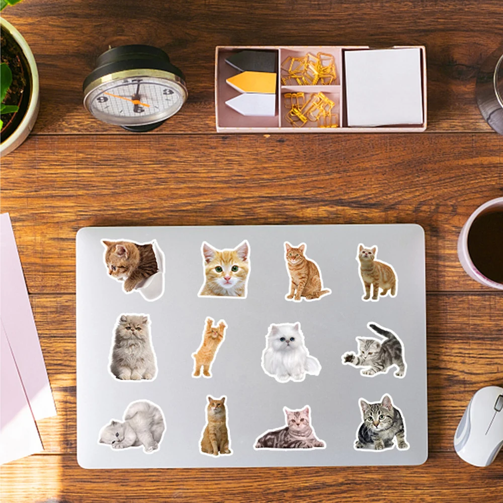 10/30/50/100 قطعة Kawaii القط الكرتون ملصقات مضحك لطيف الحيوان هريرة ملصق DIY بها بنفسك سكرابوكينغ المحمول الدراجة الكتابة على الجدران الشارات اللعب