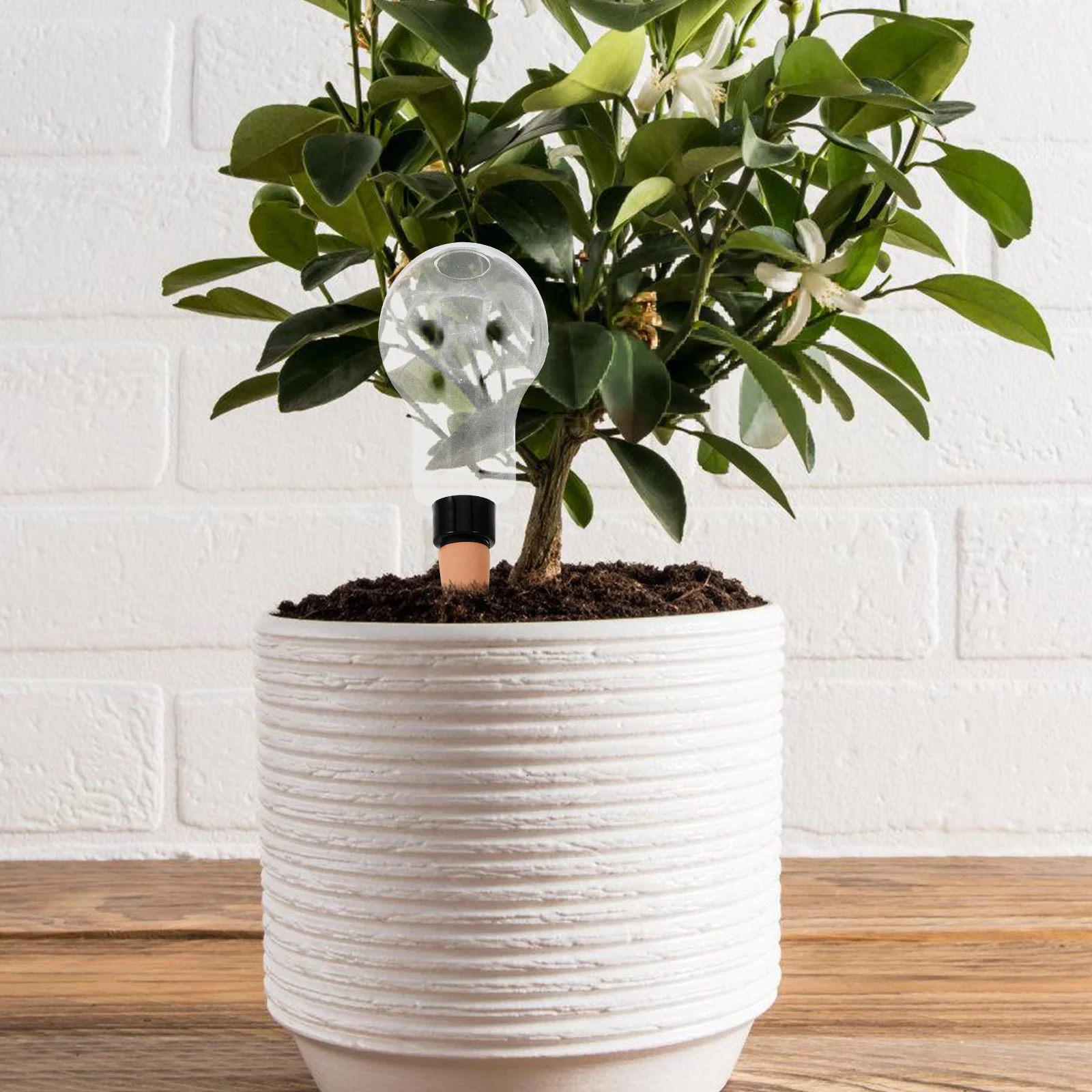 2 قطعة سقي النباتات التلقائي لمبات الري الذاتي للنباتات الداخلية والخارجية زارع العصارة سقي الكرات جهاز العناية بالنباتات