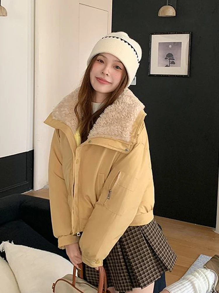 

Женские зимние милые парки в винтажном стиле в консервативном стиле из искусственного ягненка с воротником-стойкой, пышное пальто, повседневная теплая толстая корейская милая куртка с карманами