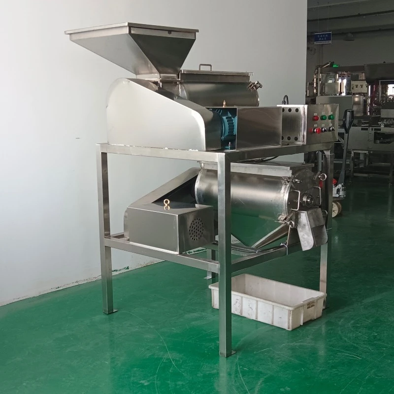 2024 Fruit Mango Tomato Pulper Juicer