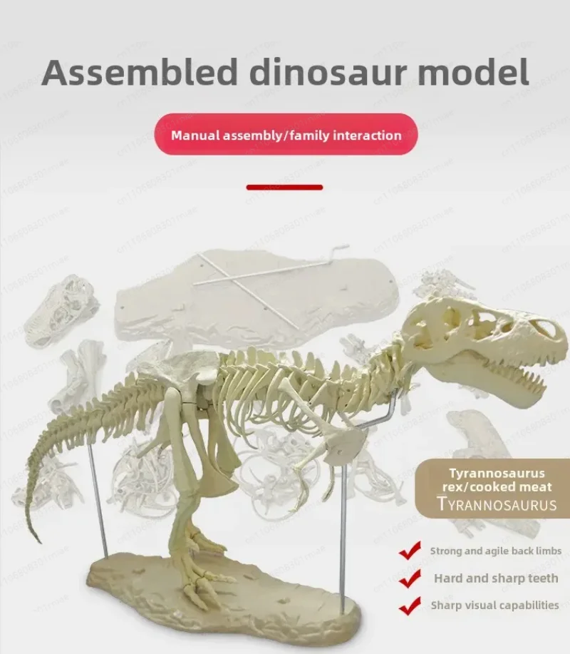 4D Tyrannosaurus Rex Excavation Science Kit Dig Up Dinosaur and Assemble a 4D Skeleton Ancient Animal Fossil Skull 14Years & up