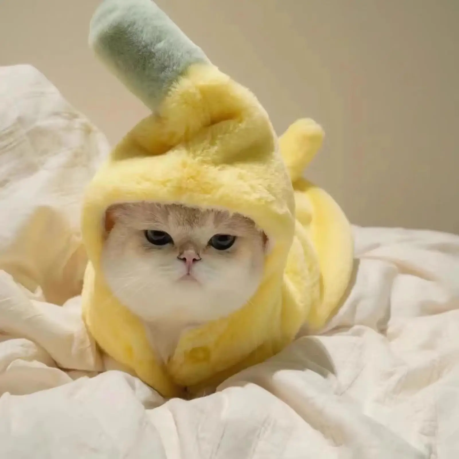 Warm Pet Banana Costume Soft Wool Lining Windproof Coldproof Festive Christmas Coat For Small Breed Cat Dog Daily Wear