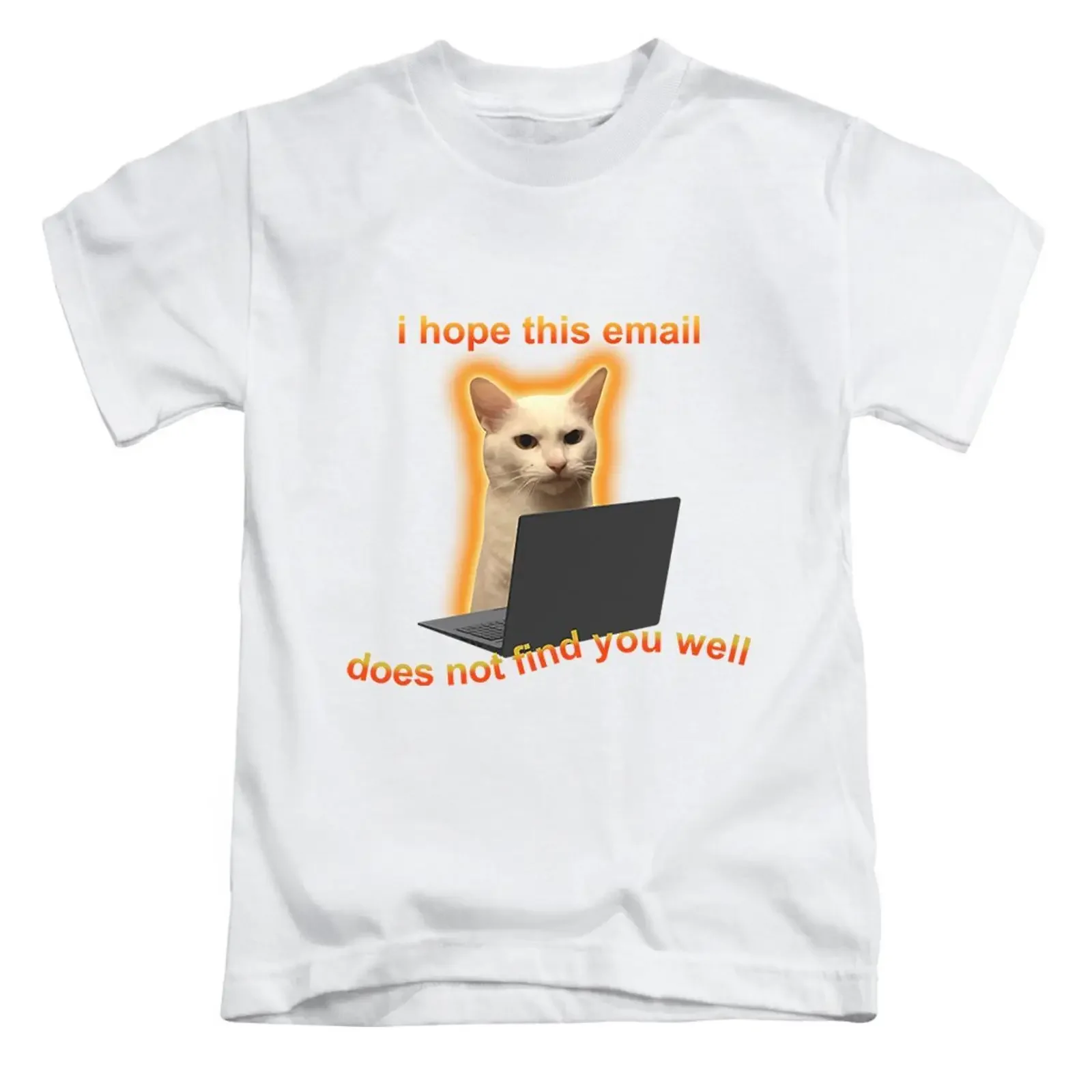T Shirt I Hope This Email Does Not Find You Well Erwachsene lustig Katze Meme Oberteil vintage Washed Stretched Soft graphic
