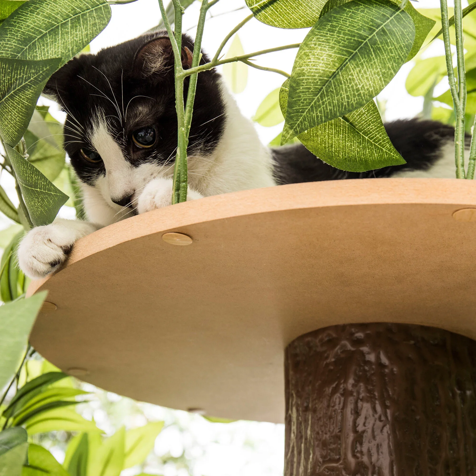 Árvore de gato com folhas grande quadrado gatinho apartamento atividade árvore gato escalada quadro torre de gato