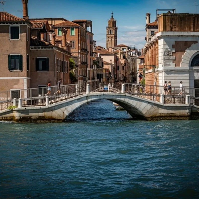 

2 шт. передние нижние рычаги подвески для Trxs 1/10 4-TEC Drift Mustang 10535 | Прочные детали для обновления | Простая установка