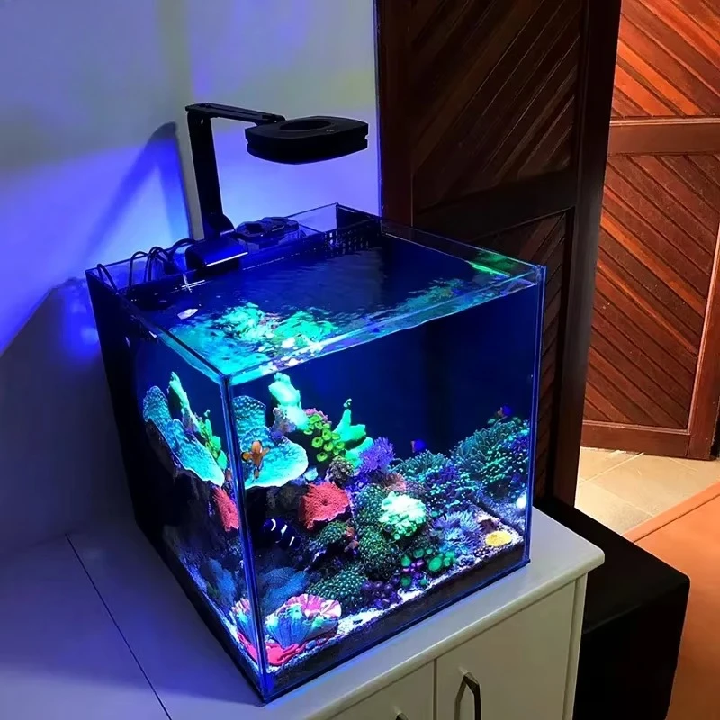 

Aquarium Fish tank Glass Marine tank Rookie Reef Aquarium Salt Water Fish tank for Beginner