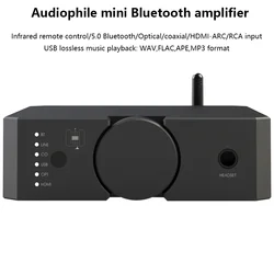 Audiophile Dual Balance Power Amplifier Bluetooth 5.0 200W High Power HIFI Digital Audio Amplifier USB Playback HDMI Input