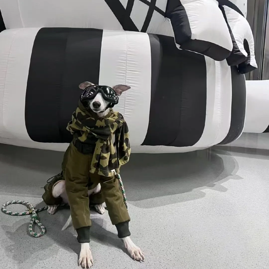 

Winter Super-thick Whippet Army Green Clothes Quilted Turtle Collar Dog Coat Warm Italian Greyhound Adjustable Cotton Jacket