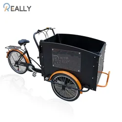 OEM High Quality Cargo Bike Children Carry Cart Pet Dog Share Pedal Tricycle Outside Electric Type Delivery Bike for Whole Sale