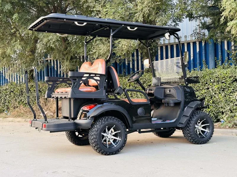 تصميم جديد فاخر 4 مقاعد 60 فولت سيارة جولف كهربائية 2 باب للبيع #6